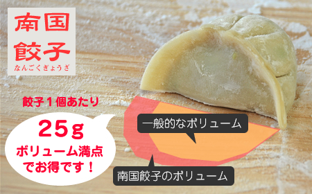 南国餃子はボリューム満点